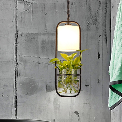 Metal Black Pendant Light Kit Capsule Single Head Industrial Ceiling Light with Plant Decoration