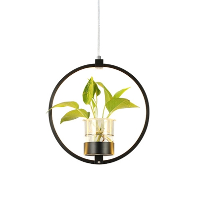 1 Head Round Frame Hanging Ceiling Light Industrial Black/Gray/White Metal Pendant Lighting with Plant Deco