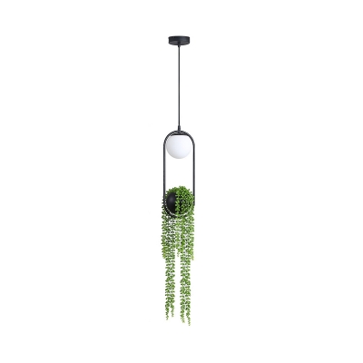 Metal Black Plant Hanging Lamp Ball 1 Light Vintage LED Suspension Pendant for Restaurant