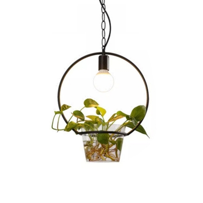 Black Single Head Pendant Lamp Industrial Metal Round/Square/Rectangle Suspension Lighting with Plant Deco