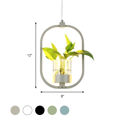 Metal Oval Frame Ceiling Pendant Light Industrial 1 Head Restaurant Hanging Light Kit in Black/Gray/White with Plant Deco