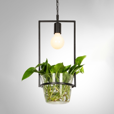 Black Single Head Pendant Lamp Industrial Metal Round/Square/Rectangle Suspension Lighting with Plant Deco