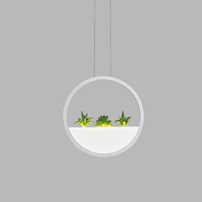 White Round Hanging Lighting Modernist LED Acrylic Ceiling Pendant Lamp in White/Warm Light with Plant Decor, 11