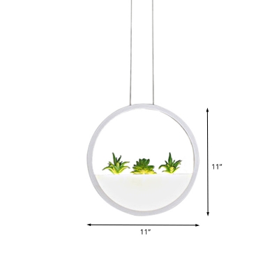 White Round Hanging Lighting Modernist LED Acrylic Ceiling Pendant Lamp in White/Warm Light with Plant Decor, 11