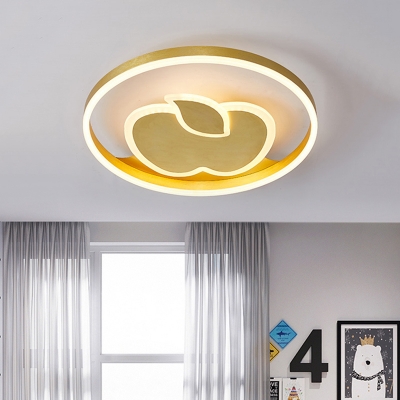 Fish/Apple Bedroom Flush Light Fixture Acrylic LED Modernist Flush Mount Ceiling Lamp in Gold