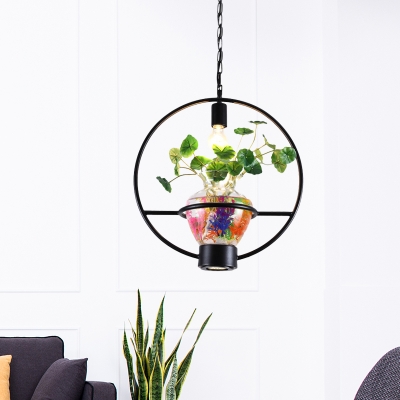 Single Urn Plant Pot Pendant Light Industrial Black Clear Glass Hanging Lamp with Round/Square/Rectangle Frame