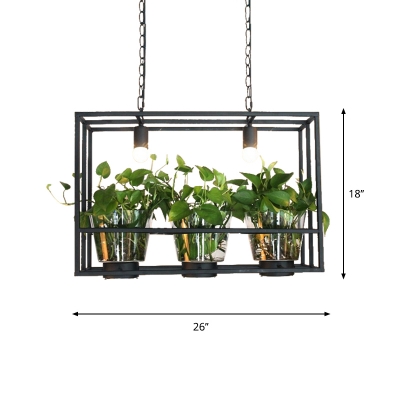 3-Bulb Island Light Fixture Industrial Black Rectangle Cage Restaurant Pendant with Clear Glass Plant Cup