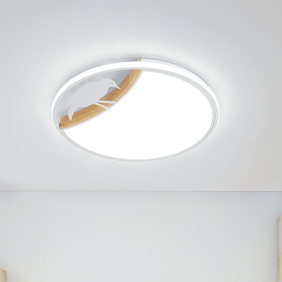 Disc Ultrathin LED Ceiling Lamp Nordic Acrylic Grey/White/Green Flush Mounted Light with Bird Decor