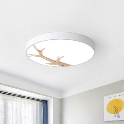 Nordic LED Flush Mount Grey/White/Blue Round Ceiling Light with Acrylic Shade and Wood Branch Design