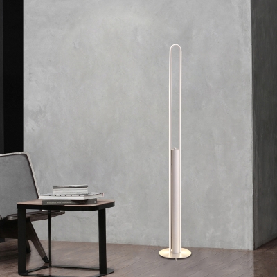 Slim Oval Frame Floor Lighting Modern Metallic White/Black/Gold LED Standing Floor Lamp in White/Warm Light