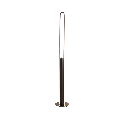 Slim Oval Frame Floor Lighting Modern Metallic White/Black/Gold LED Standing Floor Lamp in White/Warm Light