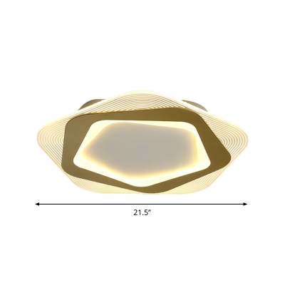 Hexagon/Pentagon Metal Flush Lamp Fixture Modernism LED Gold Flush Ceiling Lighting for Living Room, 18