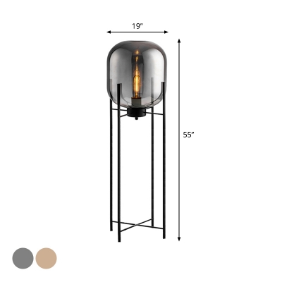 Contemporary LED Floor Light with Smoke Gray/Cognac Glass Shade Black Finish Oval Standing Floor Lamp