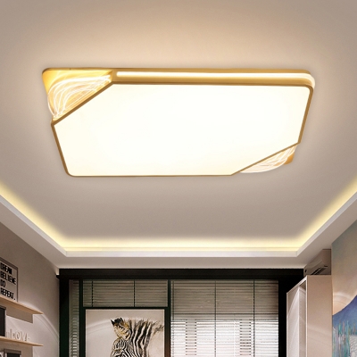 Square/Rectangle Flush Mount Modernist Metal LED Gold Flush Ceiling Light in Warm/White Light, 18
