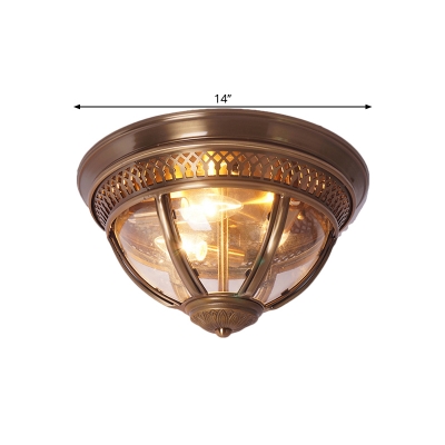1-Bulb Dome Flush Mount Light Antique Black/Brass Clear Glass Ceiling Lighting with Metallic Frame