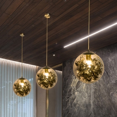 Globe Dining Room Pendulum Light Clear Glass 1 Head Nordic Suspension Pendant in Silver/Gold