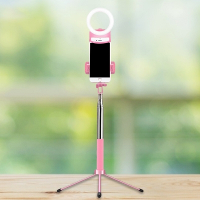 Ring Acrylic Fill-in Light Modern LED Pink Vanity Lighting with Phone Holder Design, USB
