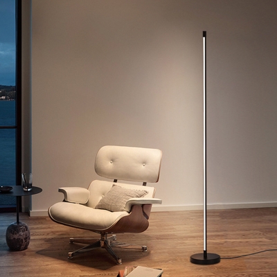 Metal Thinnest Tube Standing Floor Lamp Minimalist Black LED Floor Light for Living Room, Warm/White Light