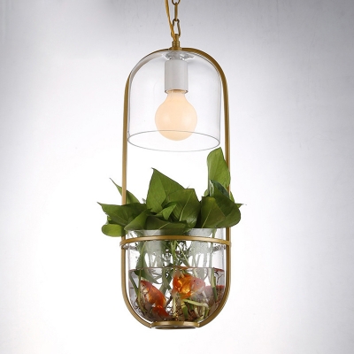 Countryside Domed Suspension Light Single Bulb Clear Glass Pendant Lighting Fixture with Oval Frame Design in Gold