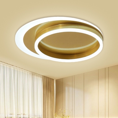 Ring Metal Flush Light Fixture Simplicity LED Gold Ceiling Mounted Lamp, Warm/White Light
