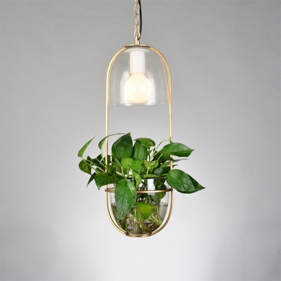 1-Head Hanging Ceiling Light Nordic Oblong Metal Drop Pendant in Black/Gold with Plant Cup and Cylinder Fabric/Clear Glass Bowl Shade