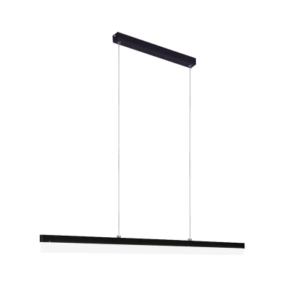 Slim LED Suspended Lighting Fixture Minimal Acrylic Black Hanging Pendant in Warm/White Light, 23.5