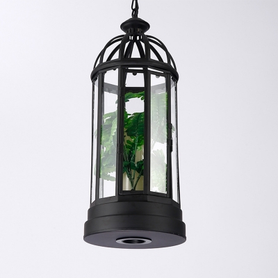 1 Bulb Birdcage Pendulum Light Retro Black Clear Glass Ceiling Pendant with Plant Decor