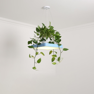 Nordic Square Hanging Light Acrylic LED Suspension Pendant in Black/White/Blue with Plant Pot, 16