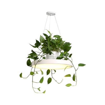 White/Yellow LED Pendant Lamp Nordic Acrylic Round Hanging Lamp Kit with Plant Container