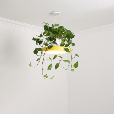 White/Yellow LED Pendant Lamp Nordic Acrylic Round Hanging Lamp Kit with Plant Container