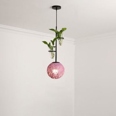 Macaron Spherical Pendant Light Kit 1 Bulb Rattan Suspended Lighting Fixture in Blue/Pink/Red with Plant Cup