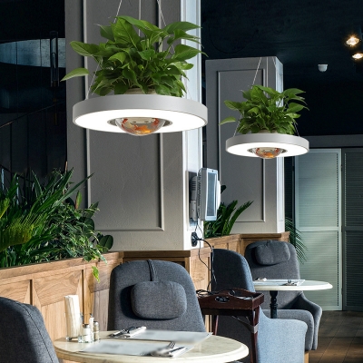 Circular Acrylic Pendant Lighting Nordic Restaurant LED Hanging Light in Black/Grey with Dome Plant Pot, 16