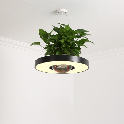 Circular Acrylic Pendant Lighting Nordic Restaurant LED Hanging Light in Black/Grey with Dome Plant Pot, 16