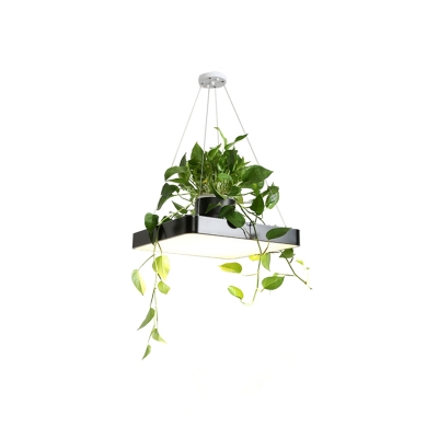 Nordic Square Hanging Light Acrylic LED Suspension Pendant in Black/White/Blue with Plant Pot, 16