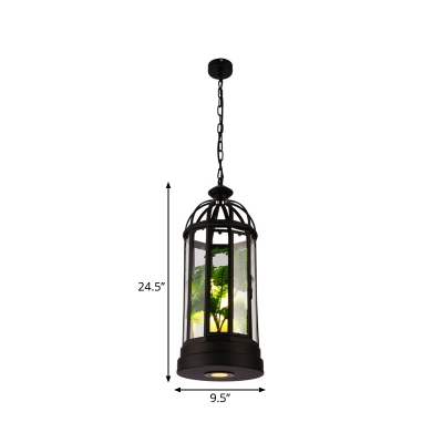 1 Bulb Birdcage Pendulum Light Retro Black Clear Glass Ceiling Pendant with Plant Decor