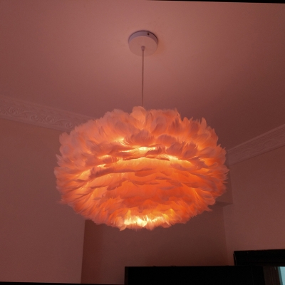 Ovoid Feather Hanging Lamp Romantic Modern 1 Head Grey/Pink/Apricot Ceiling Pendant for Bedroom, 18
