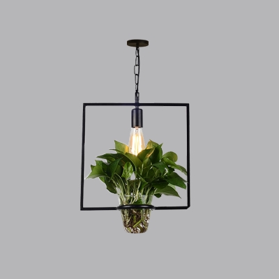 Single Round/Square/Basket Shaped Pendant Country Style Black Iron Ceiling Hang Lamp with Clear Glass Pot