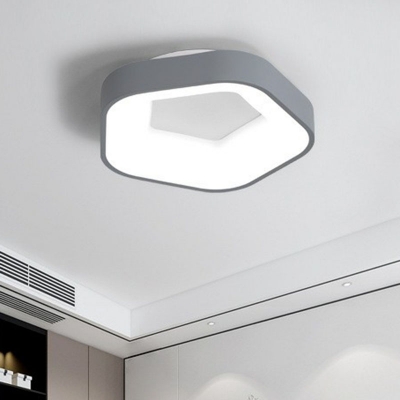 Flower Shaped Ceiling Flush Light Nordic Acrylic Grey/White LED Flush-Mount Light Fixture in Warm/White/3 Color Light