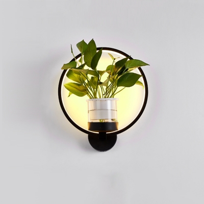 Oval/Round LED Wall Sconce Nordic Metal Black/White Plant Wall Lighting Fixture in Warm/White Light/Third Gear
