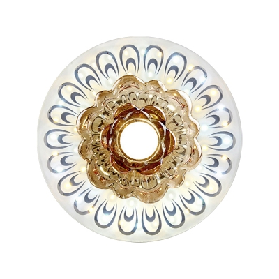Peacock Tail Feather Ceiling Light Modern Clear Crystal Hallway LED Flushmount Lamp in Warm/White Light