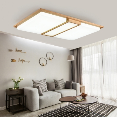 Living Room Led Flush Ceiling Light, Small White Ceiling Lamp Shades For Living Room