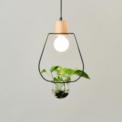 Single Teardrop/Rectangle/Round Pendant Light Nordic Wooden Black/White Ceiling Hang Lamp with Clear Glass Plant Pot