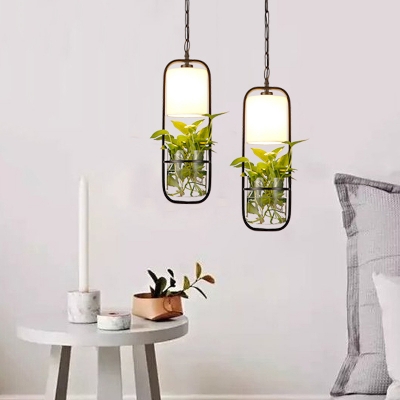 Black Rectangle Ceiling Pendant Nordic Iron 1 Head Dining Room Hanging Light with Fabric Shade and Clear Glass Plant Pot