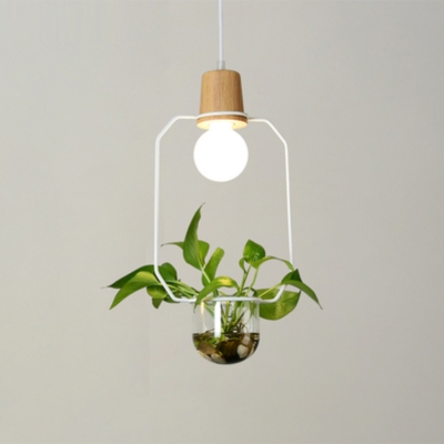Single Teardrop/Rectangle/Round Pendant Light Nordic Wooden Black/White Ceiling Hang Lamp with Clear Glass Plant Pot