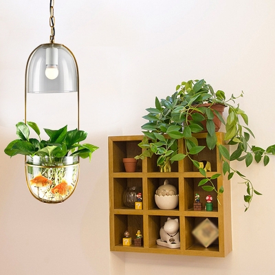 Clear Glass Plant Pot Pendant Lighting Rustic 1 Bulb Living Room Hanging Lamp with Oval Frame in Gold