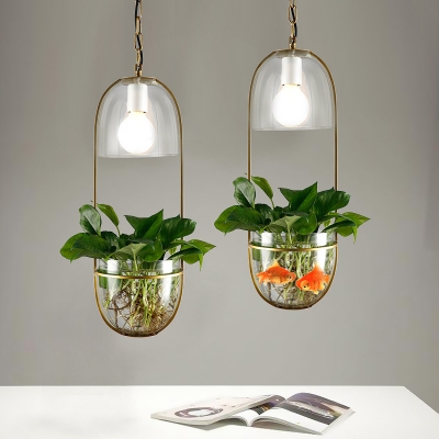 Clear Glass Plant Pot Pendant Lighting Rustic 1 Bulb Living Room Hanging Lamp with Oval Frame in Gold
