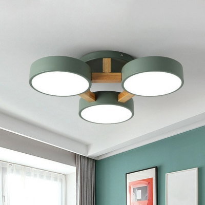 Branching LED Flush Mount Lamp Nordic Acrylic Bedroom Semi Flush Mount Ceiling Light