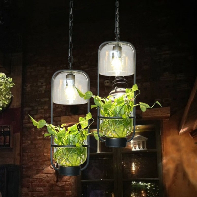 Clear Glass Bottle Shaped Spotlight Industrial Restaurant Plant Hanging Light in Black
