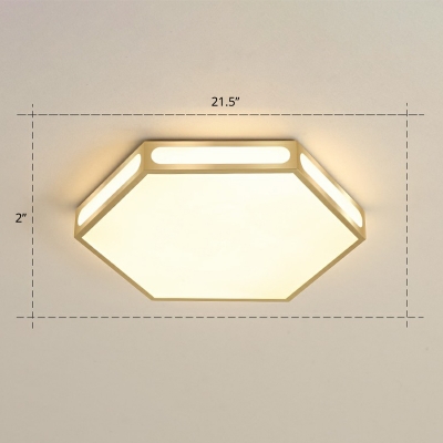 Hexagonal Acrylic Flush Ceiling Light Simplicity Gold Finish LED Flush Mount Lamp for Foyer