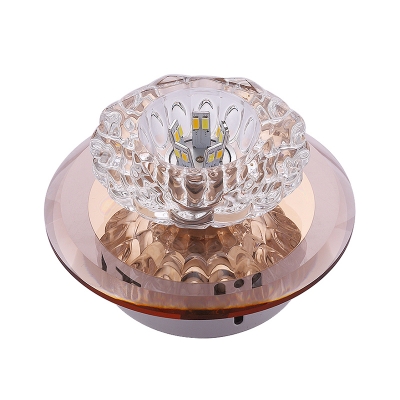 Corridor LED Flush Mount Lighting Minimalist Ceiling Lamp with Floral Crystal Shade